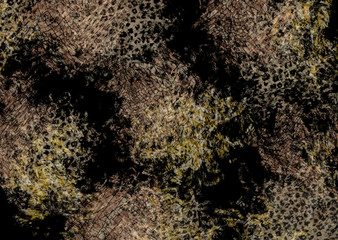 abstract exotic leopard skin texture