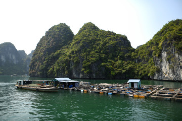 halong bay 