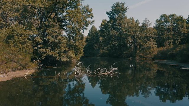 smooth forward movement of the boat along the mysterious river channel between the dangerous snags sticking out of the water. wrong turn left
