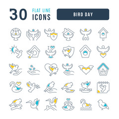 Fototapeta premium Vector Line Icons of Bird Day