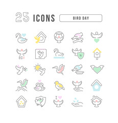 Vector Line Icons of Bird Day