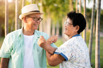 A happy senior couple asian old man and woman smiling and laughing in the garden, happy marriage. Senior healthcare and relationship concept.