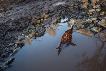 Dirty puddle with stones on the road surface