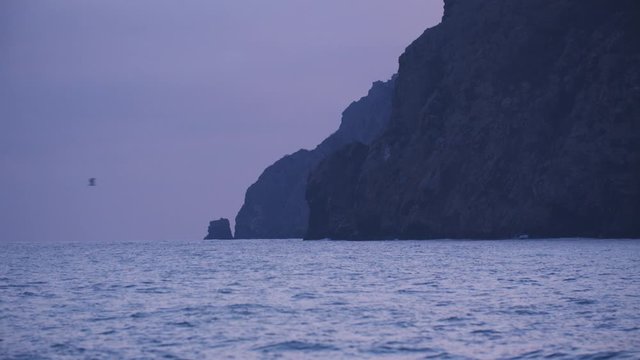 Evening beautiful landscape with rocks, flying seagull and small sea waves. Shot. Natural background of the sunset over the rippled sea surface and the mountains.