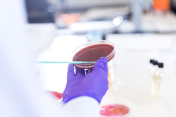 Laboratory Sample Testing