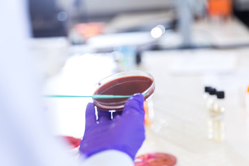 Laboratory Sample Testing