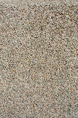 concrete wall with rough textured surface