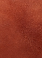 Closeup pic of a piece of brown leather 