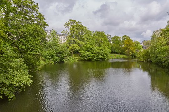 Green trees and lake in a park in Copenhagen