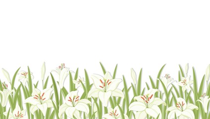 Lilys. Flower background. White lilies with green foliage. Symbol of Easter, spring and love. Template for a greeting or wedding invitation background. Horizontal border. Isolated. Vector illustration