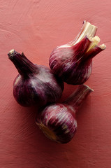 young Garlic on the colored background. top veiw