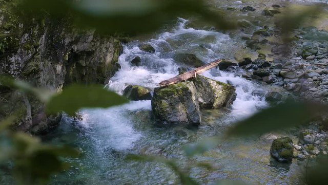 Siouxon Creek cold canyon river flow rock boulders through forest leaves pacific northwest