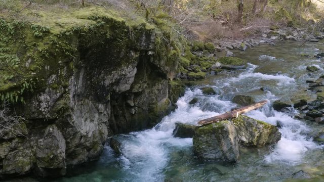 Siouxon Creek cold canyon river flow rock boulders tall cliff pacific northwest forest