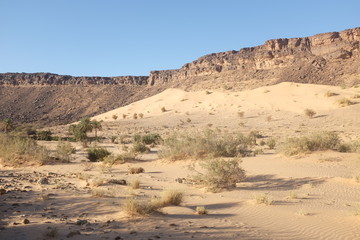 Desert with Dunes and Shrubs at the Foot of a Plateau near Atar, Mauritania