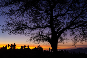 Fototapeta na wymiar Silueta de árbol y silueta de grupo de personas en amanecer en la montaña
