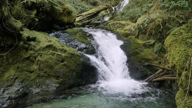 Beautiful siouxon creek waterfall old growth forest in pacific northwest with turquoise pool  