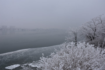 Winter landscape on the Danube. Ice and icebergs along the coast. Along the coast are tall trees with hoar on the branches