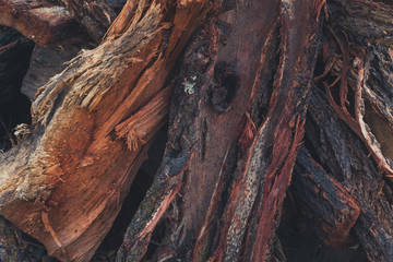 wood wall virtual background for office,Wood pile reserve for the winter. virtual background