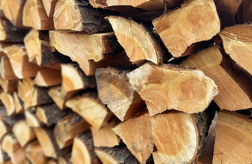 Pile of Wood