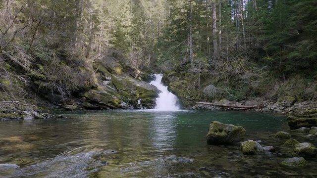 Amazing siouxon creek waterfall pacific northwest old growth forest washington oregon