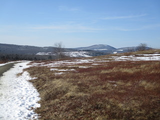 Midcoast Maine trail