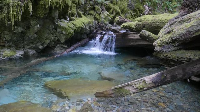 Turquoise river clear blue nature swimming pool with waterfall lush green forest pacific northwest Washington 
