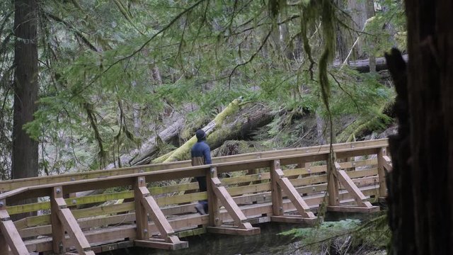 African American young Male walking and hiking calmly alone across natural wooden bridge trail through peaceful forest trees nature