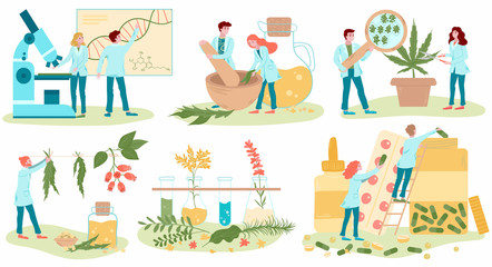 Homeopathy and natural alternative medicine, herbal medical treatment and homeopaths medics set of flat isolated on white vector illustrations. Homeopathic oils production, healing herbs treatment.