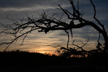 Sights of the Outer Banks, NC