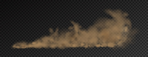 A brown dust plume cloud on a transparent background with copy space. Vector illustrstion