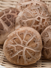 シイタケ　生どんこ