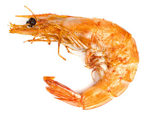 roasted prawn isolated on white background ,grilled shrimp