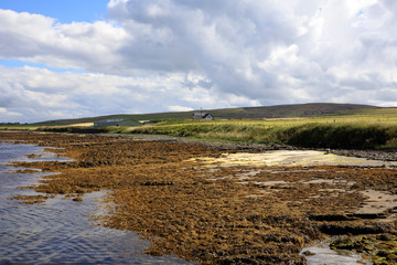 Orkney (Scotland), UK - August 10, 2018: A typical landscape in the Orkney islands, Orkney, Scotland, Highlands, United Kingdom