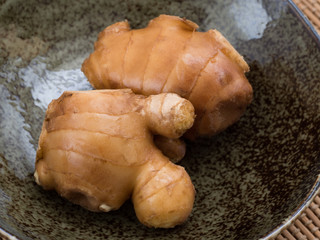 ショウガ　