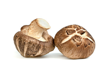 Shiitake Mushrooms isolated on white background