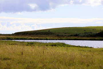 Orkney (Scotland), UK - August 10, 2018: A typical landscape in the Orkney islands, Orkney, Scotland, Highlands, United Kingdom