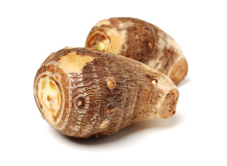 Taro on white background