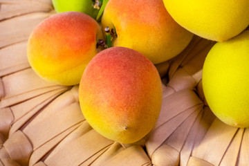 カゴに入れた梅の実