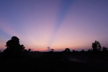 Obraz premium sunset in the field