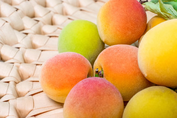 カゴに入れた梅の実