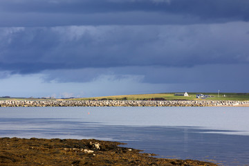 Orkney (Scotland), UK - August 10, 2018: A typical landscape in the Orkney islands, Orkney, Scotland, Highlands, United Kingdom
