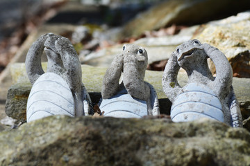 stone garden turtles