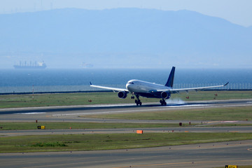 着陸した飛行機