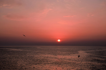 Obraz premium sunset at sea