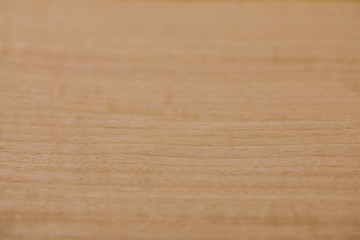 サテンシカモア