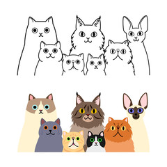 cats group set