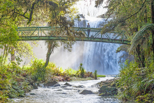 Whangarei Falls in New Zealand