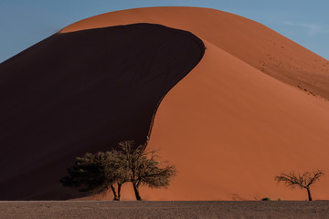Dunes in Nambib Naukluft National Park, Namibia