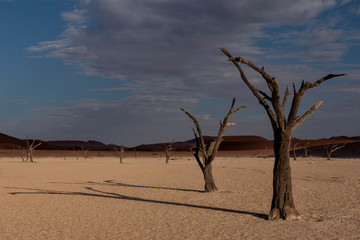 Dunes in Namib Naukluft National Park, Namibia