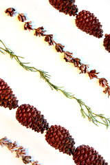 Cones of fir branches lie in rows